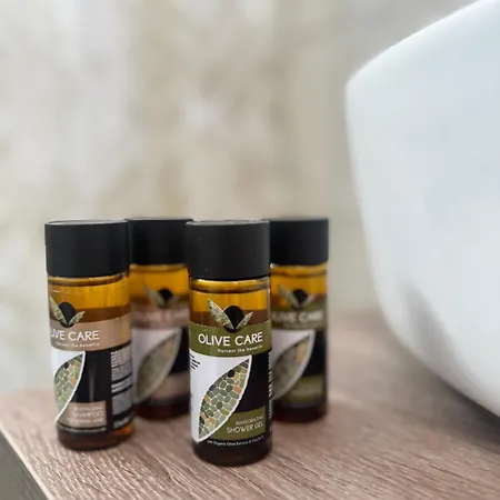 Alexis 公寓 皮洛斯